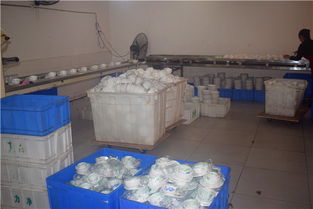 內(nèi)江市東興區(qū)力凈消毒餐具配送中心 專業(yè)消毒，優(yōu)質(zhì)服務(wù)，守護(hù)健康