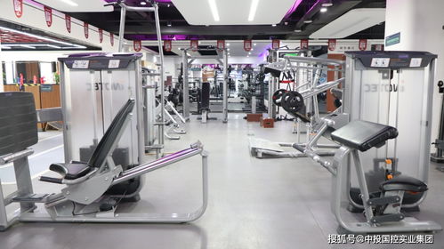 合作共贏 共謀發(fā)展 中投國(guó)控實(shí)業(yè)集團(tuán)深入玖體健身服務(wù)公司交流，探索科技中介服務(wù)新機(jī)遇