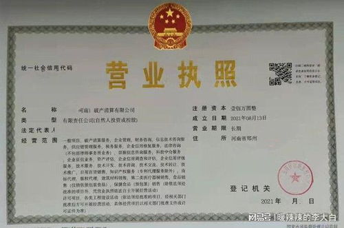 立足中原，布局未來(lái) 如何高效注冊(cè)河南破產(chǎn)清算、鄭州不良資產(chǎn)處置與科技中介服務(wù)公司